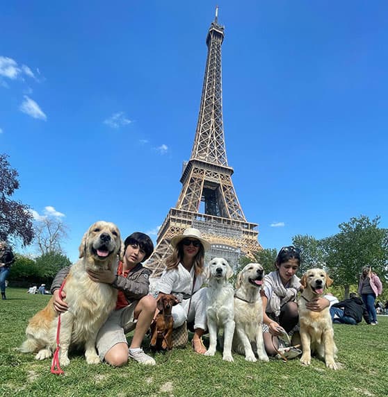 Crianza ética de Golden Retriever en Goiz-Ametz