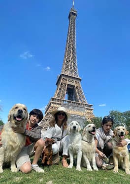Golden Retriever en familia