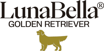 LunaBella Golden Retriever